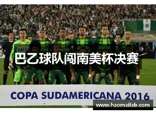 巴乙球队闯南美杯决赛 